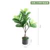 Planta de simulación nórdica Qin Ye Rong, gran planta verde falsa biónica, bonsái, decoración de suelo para sala de estar interior, decoración de bonsái