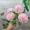 Flores Artificiales de Peonía de 5 Cabezas Estilo Europeo para Decoración de Bodas, Flores Falsas para Salón de Bodas, Arreglos Florales de Piso, Arreglos Florales para Decoración del Hogar