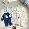 Conjunto de sudadera para bebé para primavera y otoño, top casual para niñas, conjunto elegante de dos piezas estilo coreano, ropa de exterior para niños