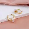 Novos Brincos Elegantes de Pérola da Moda de Alto Padrão para Mulheres, Design Versátil de Nicho, Brincos Personalizados e Brincos para Mulheres