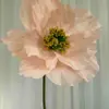 Gran Exhibición Decorativa Centro Comercial Arte en Papel Flor Amapola Papel Arrugado Hecho a Mano Kit de Materiales DIY Set 50 cm
