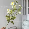 Atrezo Fotográfico de Salida Primaveral de Manzanilla y Margarita Pastoral Flores Artificiales Arreglos de Flores Falsas Decoración de Ramo Adornos Florales Tiktok Dropshipping