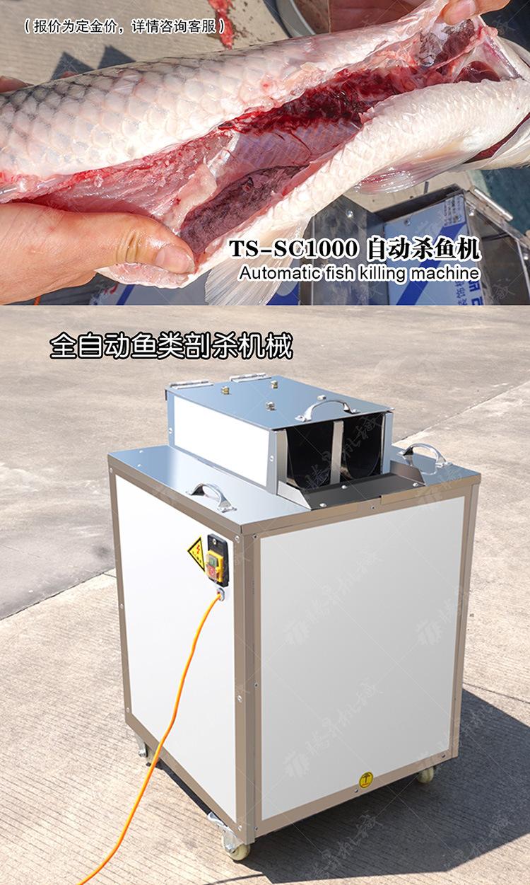 TS-SC1000-自动杀鱼机-详情页(750px)_01.