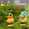 Adornos de Micro Paisaje de Musgo, Accesorios de Decoración para Plantas Suculentas, Muñecas, Animales Pequeños Pequeños de Resina para Bonsái, Materiales para Bricolaje