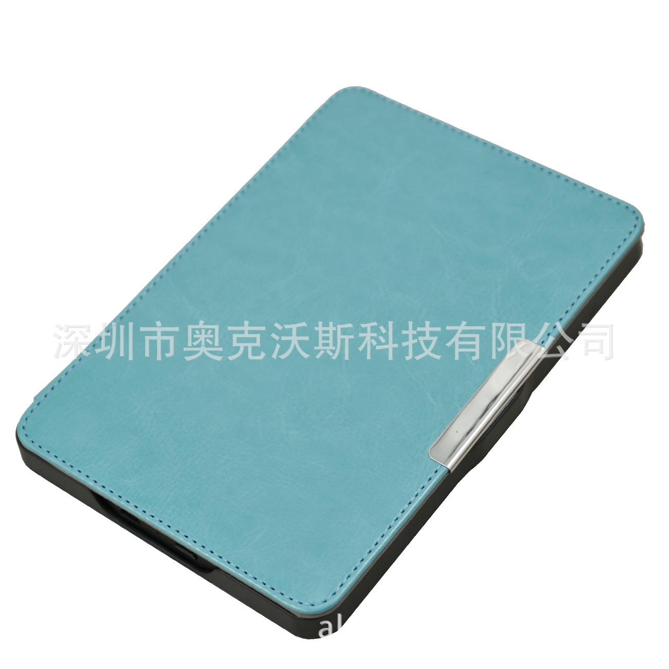 Kindle voyage疯马车线天蓝 (3)