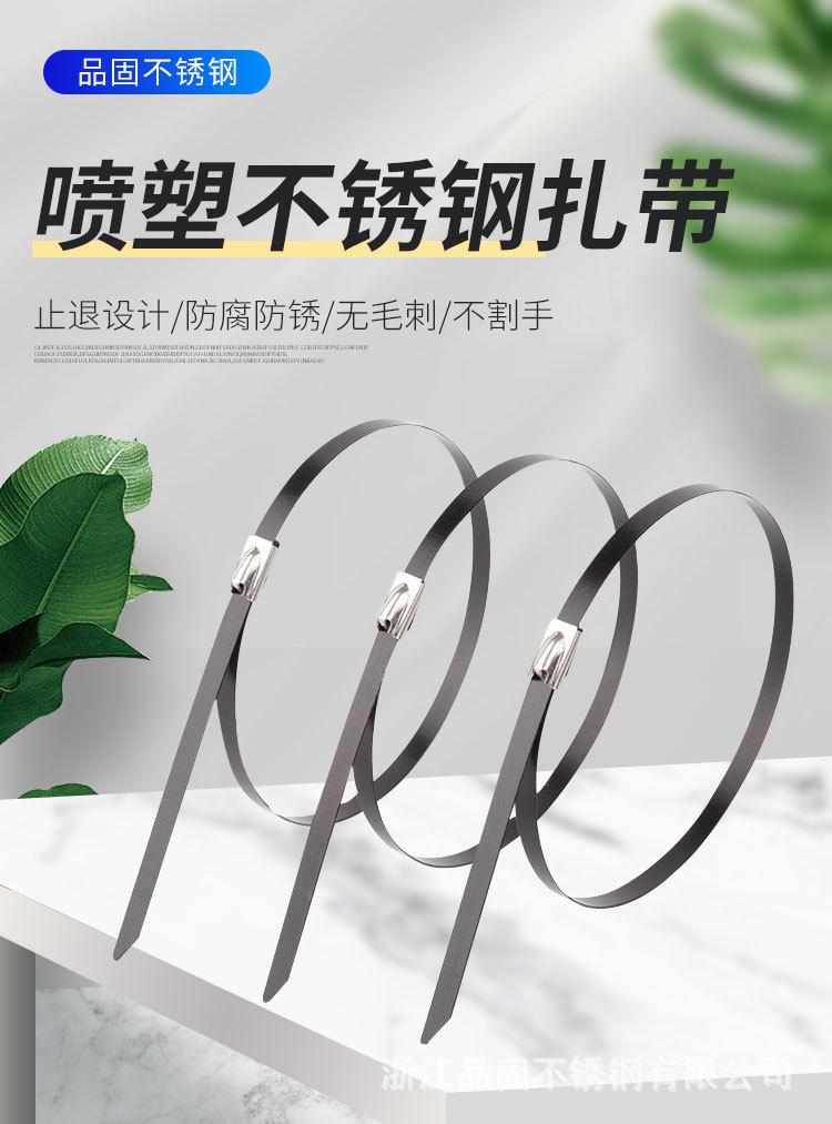 喷塑不锈钢扎带详情页_01.jpg