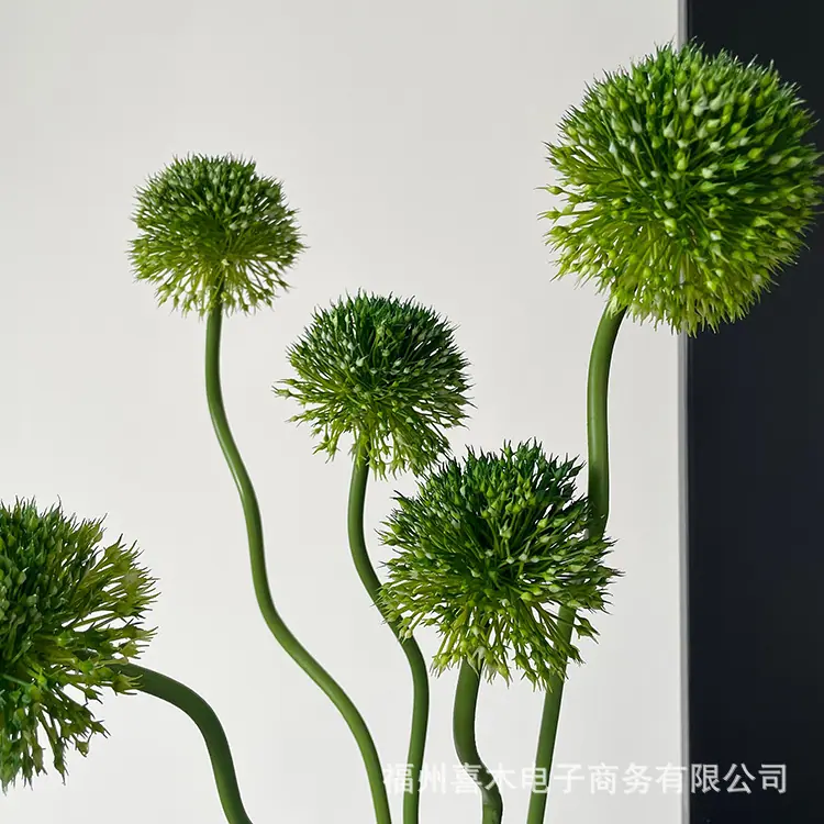 photo-output_7.JPG