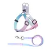 Conjunto de coleira e arreio de nylon bicolor para animais de estimação, direto da fábrica, com fivela de LED para passear com o cachorro