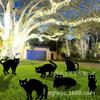 Novo cartão de Halloween 2025 para quintal, decoração de silhueta de terror de gato preto para inserir, à prova d'água, à prova de umidade
