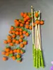 Brinquedo para Gato Varinha de Provocação, Madeira Maciça Frutífera Vara Longa com Sino, Durável e Resistente a Arranhões, Brinquedo Interativo para Alívio do Tédio para Animais de Estimação