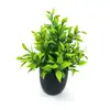 Plantas Artificiais Exóticas Transfronteiriças, Plantas Falsas, Plantas Verdes, Decoração Interna e Externa, Plantas em Vasos de Plástico, Mini Plantas de Eucalipto em Vasos, Mini