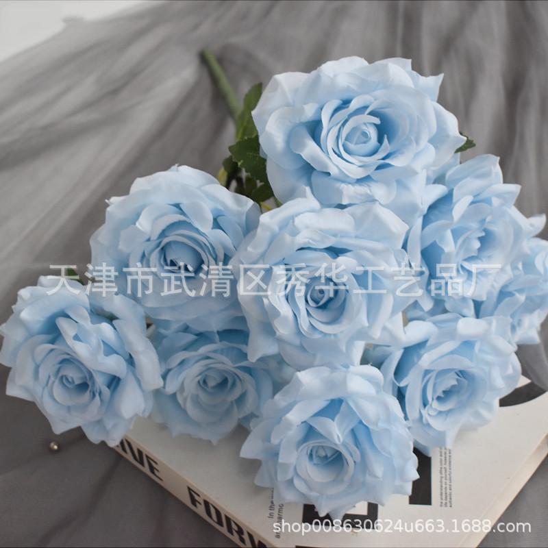 9头玫瑰蓝色
