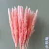 Pequeno Buquê de Flores Secas de Junco Misturado com Flores Secas para Decoração, Junco Cinza Claro, Buquê de Capim-dos-Pampas Transfronteiriço, Flores Imortais