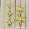 Botones metálicos cóncavos en forma de cuenco para trajes, abrigos de punto de lana, botones decorativos sencillos y versátiles cosidos a mano