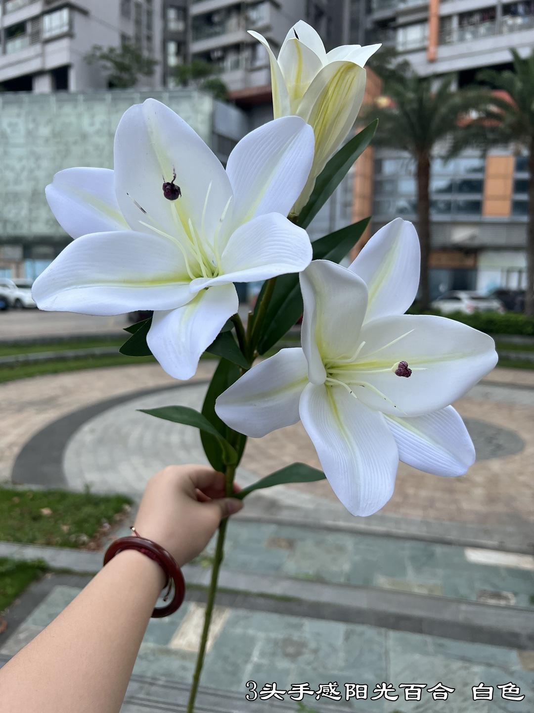 微信图片_20220605143002.jpg