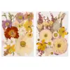 Materiais DIY para gravação em relevo com flores secas, porta-retrato com flores prensadas em resina de flor real, marcador de página com espécime de planta feito à mão, kit de material para pintura de folhas