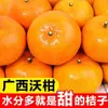 As Frutas Frescas da Estação de Wogan São Suculentas e Autênticas. Laranjas Cítricas Wogan Selecionadas de Guangxi São Colhidas e Enviadas Diretamente do Pomar