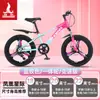 Bicicleta Infantil Phoenix para Niñas de 6-12-15 Años, Adolescentes, Niños Mayores, Bicicleta de Montaña con Cambios para Estudiantes