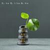 Mini Florero Wufu Transfronterizo Estilo Chino Arena Púrpura Rotación Verde Hierba de Monedas de Cobre Maceta Hidropónica Cerámica de Escritorio Mascota de Té Pequeños Adornos