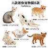 Brinquedo de modelo de gato animal sólido de simulação infantil transfronteiriça gato persa fantoche de cabelo curto bolo de gato enfeites de boneca