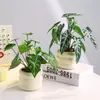 Decoração de planta em vaso de planta verde para simulação transfronteiriça sala de estar bar flor artificial flor de simulação decoração de flor de alto nível