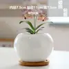 Macetas de Cerámica con Platos para Uso Doméstico al por Mayor, Macetas para Suculentas de Estilo Ins Simple Lujo Ligero Estilo Crema, Disponible para Dropshipping