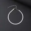 Pulsera de Hueso de Serpiente Plana de Acero Inoxidable Unisex Estilo Fresco Ajustable Pulsera de Pareja Fuente de Puesto Callejero Transfronterizo