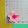 Venta Caliente Transfronteriza Conjunto de Tres Piezas Pinza de Flor de Huevo Traje Pinza de Tiburón de Alta Calidad para Cabeza de Mujer Accesorios para el Cabello