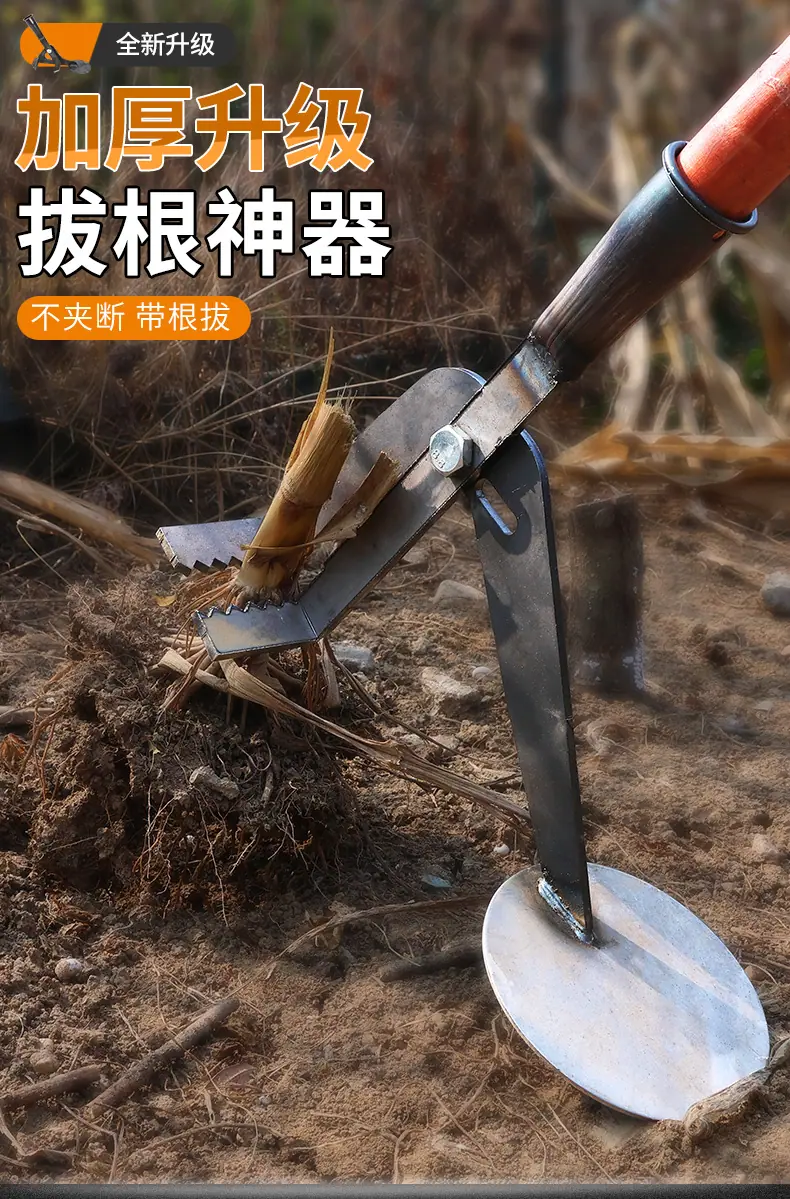 详情_01.jpg