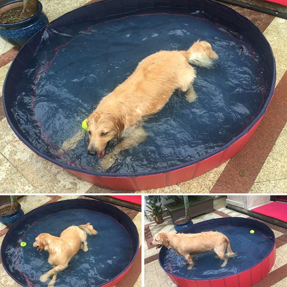 pet pool (23).jpg