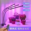 Luz LED para Crecimiento de Plantas USB Transfronteriza con Temporizador, Espectro Completo para Suculentas, Flores y Plántulas de Hierbas