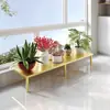 Alféizar de ventana de balcón ampliación alféizar soporte para flores de pie estrecho ampliación alféizar estante para suculentas estante de almacenamiento de encimera altura ajustable