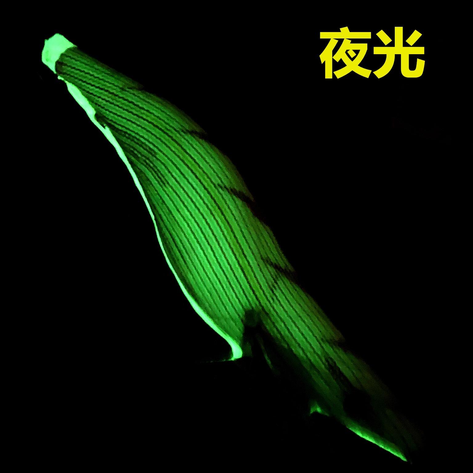 夜光.jpg