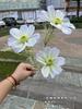 Nueva fábrica de comercio exterior de simulación cosmos 3 flocado gesang flor boda camino plomo flores falsas al por mayor pieza entera