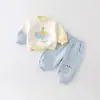 Conjunto de Duas Peças com Estampa de Elefante em Blocos de Cores de Outono Cuidadosamente Selecionado para Bebês e Crianças Pequenas, Conjunto de Calça Longa com Punho e Tromba de Elefante 3D para Bebê