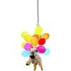 Divertido colgante acrílico de gato y perro con forma de globo, colgante para interior de coche, llavero, accesorios, colgante para decoración del hogar