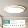 Lámpara de Techo para Dormitorio Dormitorio Principal 2025 Nueva Simple Moderna Lámpara para Sala de Estar Sala de Estudio Restaurante Balcón Lámparas de Zhongshan
