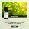 Aceites Esenciales de Aromaterapia Solubles en Aceite Transfronterizos Completamente en Inglés, Piedras Difusoras, Yeso para Manualidades, Varillas de Ratán, Velas de Aromaterapia, Aceites Esenciales de Aromaterapia en Stock