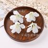Flores de Azalea Simuladas DIY Accesorios para el Cabello de Novia Pasador Accesorios de Flor Flor en la Cabeza Boda Hogar Caja de Regalo Decoración Flores Falsas