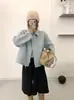 Nuevo abrigo de lana casual de doble cara para mujer, chaqueta suelta de otoño e invierno para mujer, abrigo grueso con cuello de solapa, ropa para mujer con cremallera