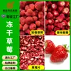 Fresas Deshidratadas en Frío Grandes para Hornear, Ingredientes para Turrón Crujiente Copo de Nieve, Fruta Deshidratada de Fresa al por Mayor, Ingredientes para Avena