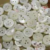 Venta al por mayor de Botones de Concha Natural de Caracola y Botones de Concha Redondos de Tres Ojos Accesorios de Gama Alta