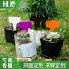 Etiqueta de jardinería de plástico engrosado en forma de T etiqueta carnosa 6x 10 etiqueta de flor de planta tarjeta protectora solar