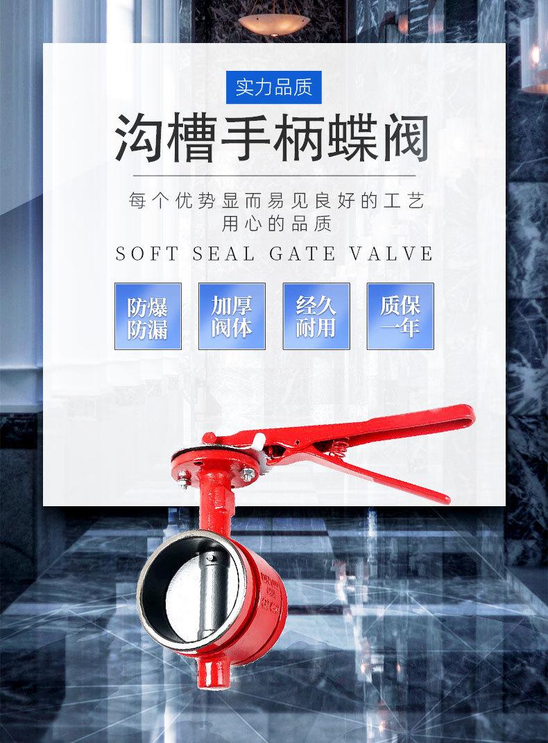 沟槽手柄蝶阀 (1).jpg