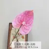 Goma suave, grulla de fuego grande, flor de palma roja artificial, flor artificial, arreglo floral artístico, arte floral espacial, accesorio de fotografía, flor de decoración de boda