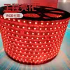 220V505016 Color 10mm Techo Impermeable Tira de Luces Control Remoto Iluminación de Ingeniería Dimmable Tira de Luz RGB Sin Parpadeo