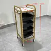 Novo Carrinho de Cabeleireiro, Carrinho de Ferramentas para Salão de Beleza, Carrinho de Cabeleireiro Multifuncional, Carrinho para Permanente e Coloração de Barbearia, Carrinho de Armazenamento
