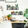 Estante para Plantas Artificiales Estilo Ins Fun-F1156 Maceta Decoración de Pared para Dormitorio Estudio Hogar Pegatina de Pared