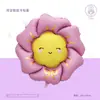 Decorações de Balões de Flores Novas Transfronteiriças para Festas de Dia dos Namorados, Decorações de Aniversário, Balões Matte com Rosto Sorridente, Decorações de Jardim de Infância
