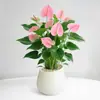 Planta en Maceta de Anturio con Flores, Planta de Interior para Escritorio de Oficina, Planta Verde para Sala de Estar, Purifica el Aire, Bonsái Fácil de Mantener